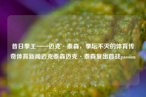 昔日拳王——迈克·泰森，拳坛不灭的体育传奇体育新闻迈克泰森迈克·泰森复出首战passion