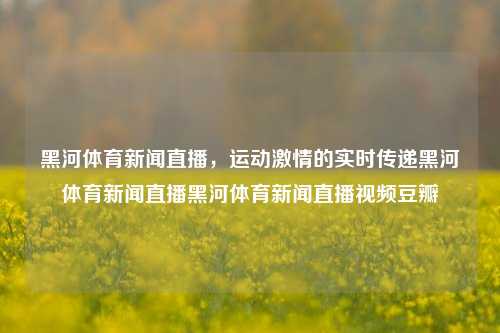 黑河体育新闻直播，运动激情的实时传递黑河体育新闻直播黑河体育新闻直播视频豆瓣