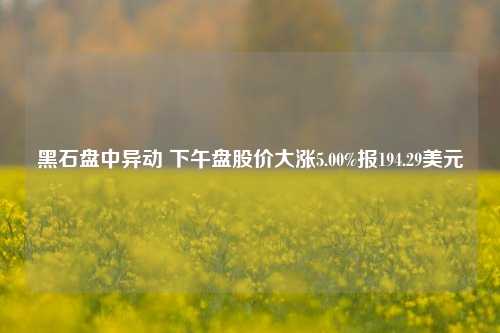 黑石盘中异动 下午盘股价大涨5.00%报194.29美元