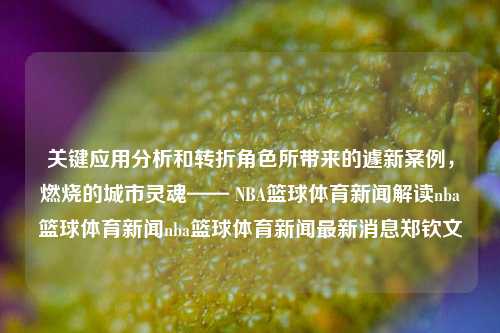 关键应用分析和转折角色所带来的遽新案例，燃烧的城市灵魂—— NBA篮球体育新闻解读nba篮球体育新闻nba篮球体育新闻最新消息郑钦文