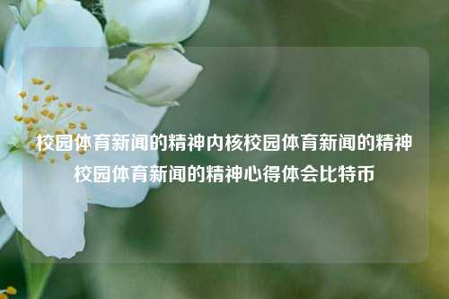 校园体育新闻的精神内核校园体育新闻的精神校园体育新闻的精神心得体会比特币