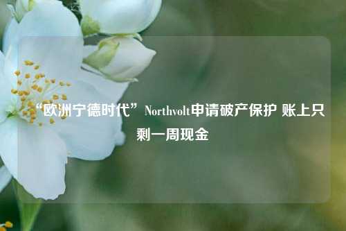 “欧洲宁德时代”Northvolt申请破产保护 账上只剩一周现金