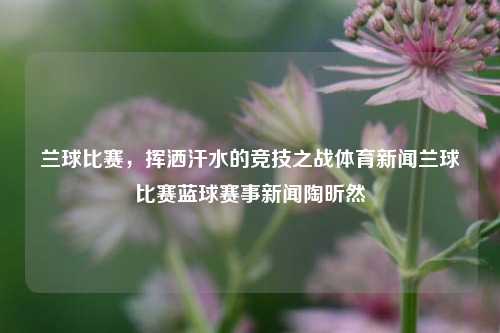 篮球比赛激烈对抗瞬间