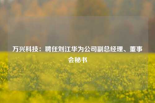 万兴科技：聘任刘江华为公司副总经理、董事会秘书