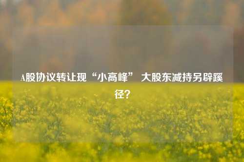 A股协议转让现“小高峰” 大股东减持另辟蹊径？