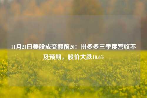 11月21日美股成交额前20：拼多多三季度营收不及预期，股价大跌10.6%