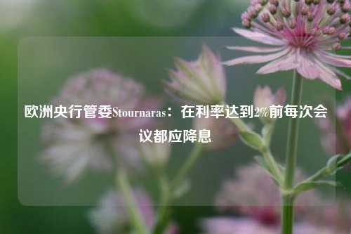 欧洲央行管委Stournaras：在利率达到2%前每次会议都应降息