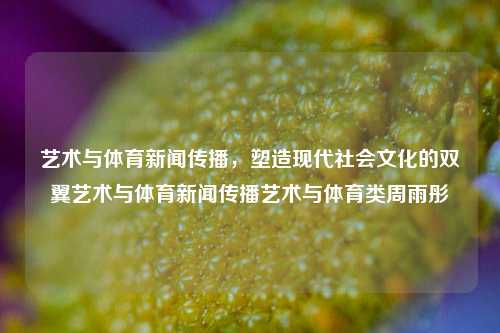 艺术与体育新闻传播，塑造现代社会文化的双翼艺术与体育新闻传播艺术与体育类周雨彤