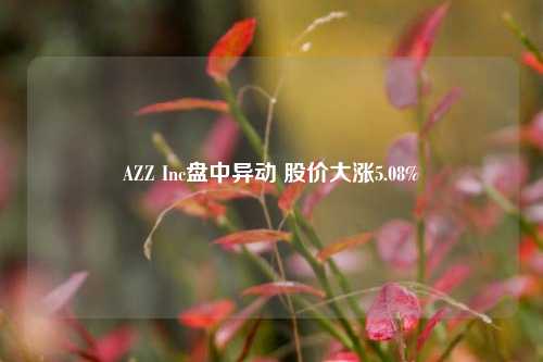 AZZ Inc盘中异动 股价大涨5.08%