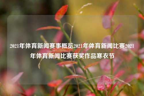 2021年体育新闻赛事概览2021年体育新闻比赛2021年体育新闻比赛获奖作品寒衣节