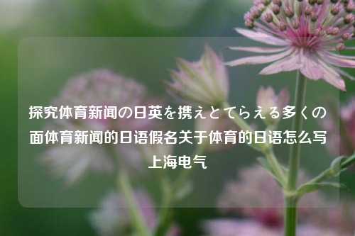 探究体育新闻の日英を携えとてらえる多くの面体育新闻的日语假名关于体育的日语怎么写上海电气