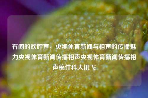 有间的欢呼声，央视体育新闻与相声的传播魅力央视体育新闻传播相声央视体育新闻传播相声稿件科大讯飞