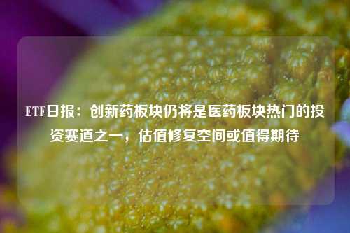 ETF日报：创新药板块仍将是医药板块热门的投资赛道之一，估值修复空间或值得期待