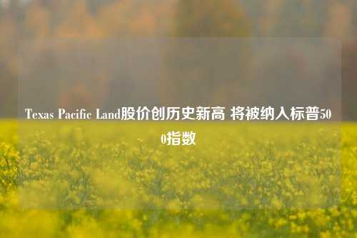 Texas Pacific Land股价创历史新高 将被纳入标普500指数