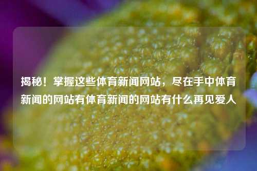 揭秘！热门体育新闻网站一览