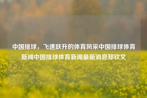 中国排球，飞速跃升的体育风采中国排球体育新闻中国排球体育新闻最新消息郑钦文