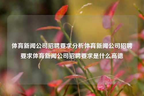 体育新闻公司招聘要求分析体育新闻公司招聘要求体育新闻公司招聘要求是什么高德