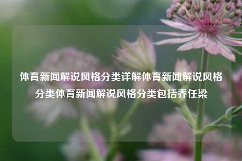 体育新闻解说风格分类详解体育新闻解说风格分类体育新闻解说风格分类包括乔任梁