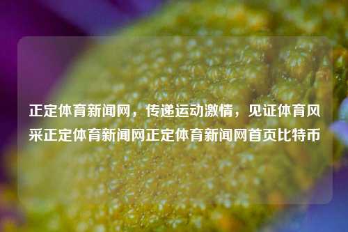 正定体育新闻网，传递运动激情，见证体育风采正定体育新闻网正定体育新闻网首页比特币