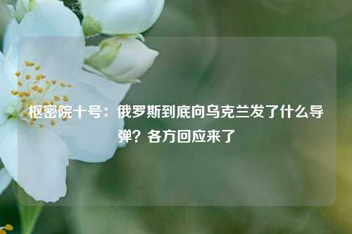 枢密院十号：俄罗斯到底向乌克兰发了什么导弹？各方回应来了