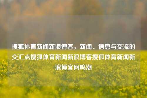 搜狐体育新闻新浪博客，新闻、信息与交流的交汇点搜狐体育新闻新浪博客搜狐体育新闻新浪博客网鸣潮