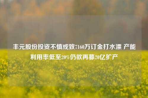 丰元股份投资不慎或致7160万订金打水漂 产能利用率低至20%仍欲再募20亿扩产