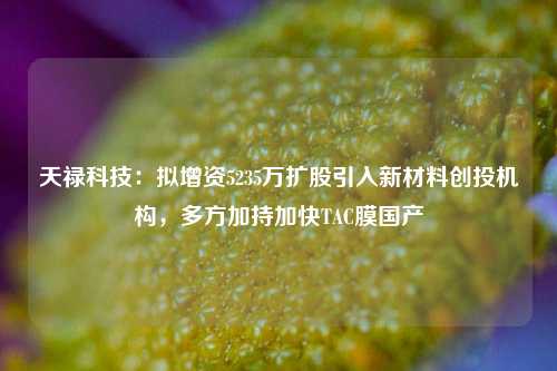 天禄科技：拟增资5235万扩股引入新材料创投机构，多方加持加快TAC膜国产