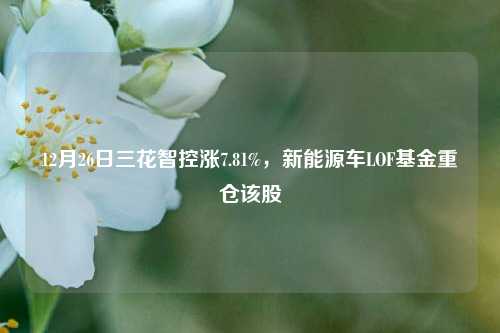 12月26日三花智控涨7.81%，新能源车LOF基金重仓该股