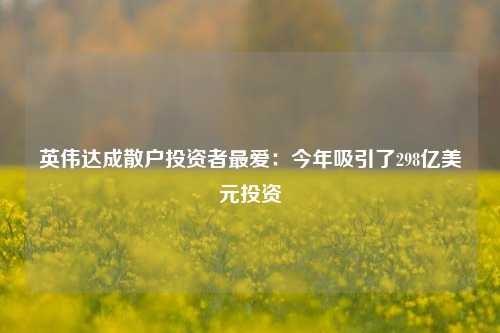 英伟达成散户投资者最爱：今年吸引了298亿美元投资