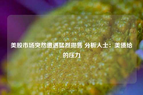 美股市场突然遭遇猛烈抛售 分析人士：美债给的压力