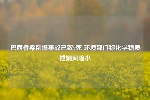 巴西桥梁倒塌事故已致9死 环境部门称化学物质泄漏风险小