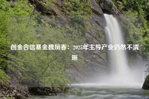 创金合信基金魏凤春：2025年主导产业仍然不清晰