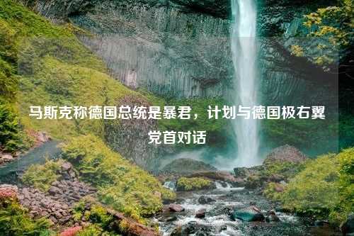 马斯克称德国总统是暴君，计划与德国极右翼党首对话