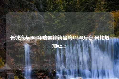 长城汽车2024年度累计销量约123.33万台 同比增加0.21%