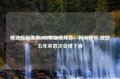 雅迪控股发布2024年业绩预告：利润腰斩 或迎五年来首次业绩下滑