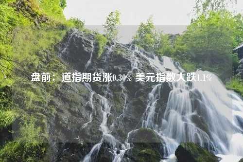 盘前：道指期货涨0.30% 美元指数大跌1.1%