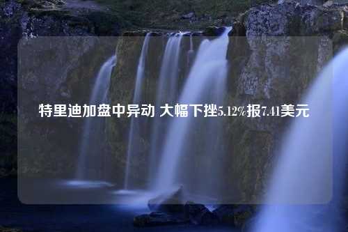 特里迪加盘中异动 大幅下挫5.12%报7.41美元