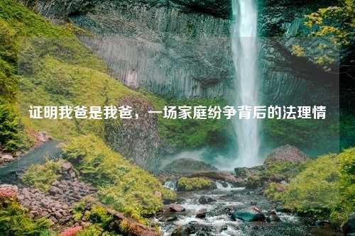 证明我爸是我爸，一场家庭纷争背后的法理情