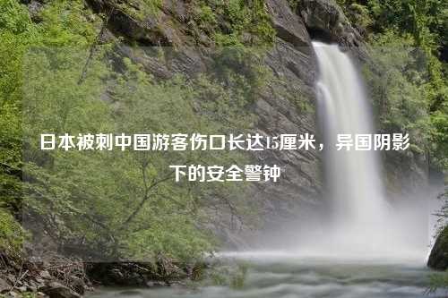 日本被刺中国游客伤口长达15厘米，异国阴影下的安全警钟