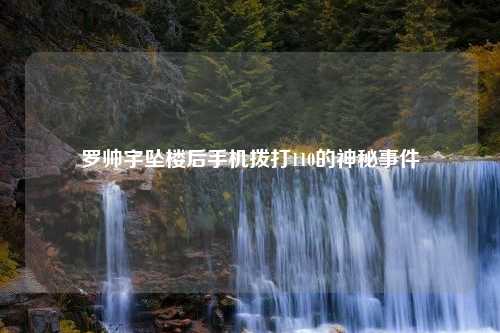 罗帅宇坠楼后手机拨打110的神秘事件